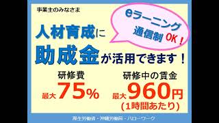 【人材開発支援助成金】令和6年度版！人材育成にご活用ください！ [upl. by Lawson]