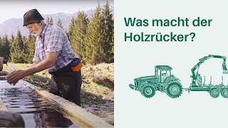 Was macht der Holzrücker Arbeitsplatz Wald 🌳🌲 I Berufe in Wald amp Forstwirtschaft [upl. by Evangelin550]