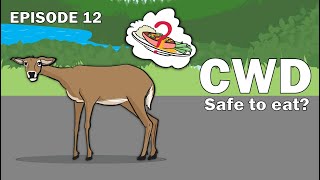 CWD Series Episode 12  Is it safe to eat CWDpositive deer [upl. by Aicilas]