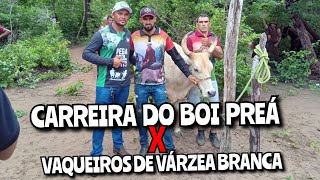 Carreira de boi PREÁ contra os vaqueiros de Várzea Branca [upl. by Scarlet135]