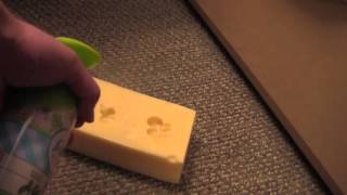 Febreze The Cheese  Gus Johnson Comedy Short [upl. by Osnerol]