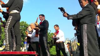 Mi Viejo  Escuela del Mariachi  Guadalajara Mexico [upl. by Enixam]