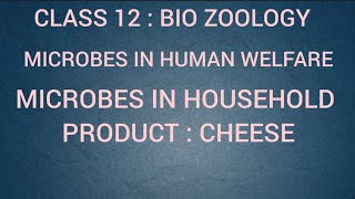 Microbes in household products  Cheese  Microbes in human welfare  Class 12  Bio Zoology  Tamil [upl. by Lanti457]