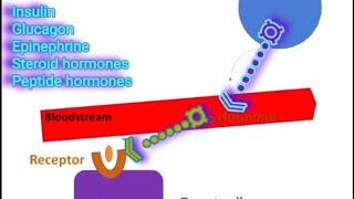 Receptors amp Signal Transduction A Summary Metabolism Made Easy [upl. by Alleuqram502]