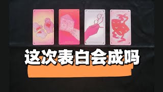 【塔羅牌占卜】這次表白會成功嗎？不限時間性別取向 [upl. by Batchelor]