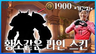 돌진충들을 위한 라인하르트 스킨 [upl. by Esten11]