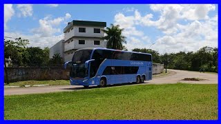 Movimentação De Ônibus Na Rodoviária De Recife  06112024 [upl. by Wilfreda]