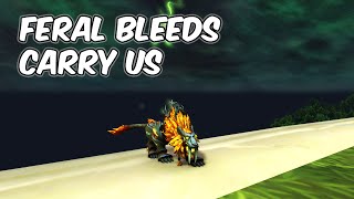 Feral Bleeds CARRY US  1102 Feral Druid PvP  WoW The War Within [upl. by Nylynnej]