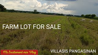 V109 3 HECTARESFARM LOT FOR SALE VILLASIS PANGASINAN mrexcitementmixvlog [upl. by Cadel763]