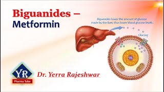 Biguanides  Metformin  Biguanides  YR Pharma Tube  Dr Yerra Rajeshwar  Dr YR [upl. by Enom]