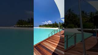 Maldives Island video [upl. by Tace1]