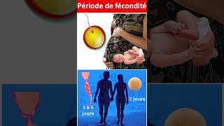 Comment connaître la période de fécondité pour tomber enceinte shorts fertilité svt svtameni [upl. by Denten]