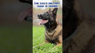 🎦Part 1 Discover the inspiration of War Dogs Academywardogsacademy governmentjobs inspiration [upl. by Maltzman767]