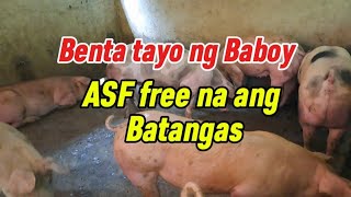 MAGBENTA TAYO NG BABOY ASF FREE NA BABAWI TAYO MAHALIN ANG MGA ALAGA NATIN [upl. by Ahsatan]