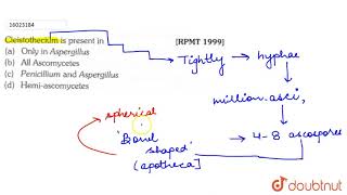 Cleistothecium is present in  11  FUNGI  BIOLOGY  ERRORLESS  Doubtnut [upl. by Liana]