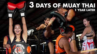 My 3 Day Muay Training in Thailand 1 Year Later [upl. by Ailero429]