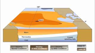 El Nino  La Nina cycle [upl. by Gutow]