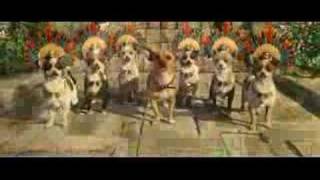 Beverly Hills Chihuahua Trailer good one [upl. by Orual348]