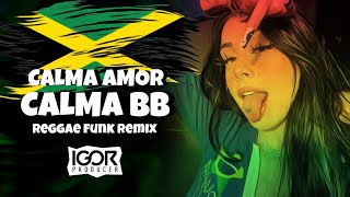 CALMA AMOR CALMA BB vs CALMA VAI DEVAGAR 2 Reggae Funk Remix 2023 igorproducer [upl. by Donielle]