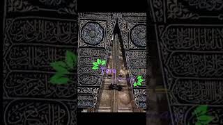 makkah🌸 naat status shorts whatsappstatus viral trending views islamicvideo [upl. by Onimod]