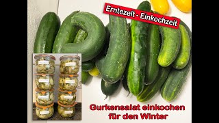 Erntezeit  Einkochzeit Gurkensalat einkochen für den Winter [upl. by Yrrok]