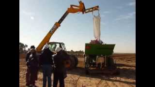 Mechanical planting of potatoes January 2014 Israel [upl. by Unni483]