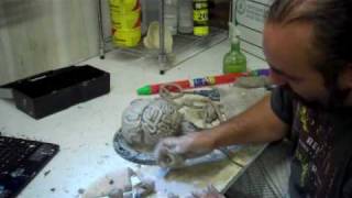 Brain sculpt part 2wmv [upl. by Farlee]