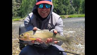 2023 Montana Fly Fishing  Day 3  Bitterroot River [upl. by Enilrem990]