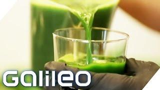 Selbstversuch 5 Tage Detoxkur  Galileo  ProSieben [upl. by Munroe238]