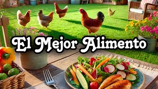 EL MEJOR ALIMENTO PARA GALLOS Y GALLINAS  Nuevas Plantas Vlog [upl. by Idonah]