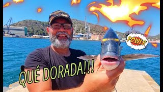 QUÉ DORADA 🎣🐟 [upl. by Ellenid]