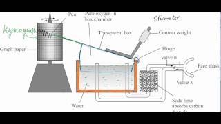 Spirometer Descriptionavi [upl. by Arreip]