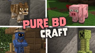 Pure Bd Craft Texture Pack for Minecraft 119  Java amp Bedrock [upl. by Rina]