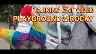 TALKING CAT VIDEO  PLAYGROUND amp ROCKY [upl. by Sivlek794]