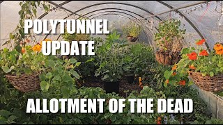 Polytunnel Update [upl. by Ridinger]