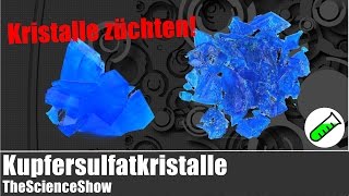 Kupfersulfatkristalle züchten  TheScienceShow [upl. by Nnaitsirhc]