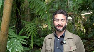 Why tarantulas are hairy Alireza Zamani [upl. by Riplex]