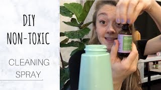 DIY SPRAY FOR EVERYTHING  Make Your Own NonToxic Plant  Hair  Cleaning Spray [upl. by Xxam]