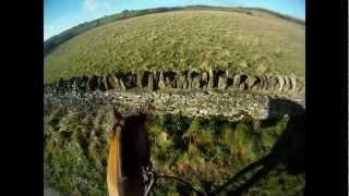 Heythrop Hunt  Stow On the Wold Meet New Years Day 2013 [upl. by Hurlee]