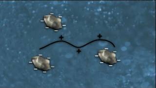 WSO Water Treatment Grade 1 Coagulation amp Flocculation Ch 8 [upl. by Yekcor]