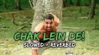 Chak Lein De Slowed  Reverbed music song slowed reverb video chakleinde motivationsong [upl. by Anitsihc]