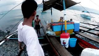 Wow Grabe Ang Jackpot sa mga Mamahaling Isadang Huli fishing fish viralvideo [upl. by Nork915]