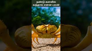 நண்டைக் கனவில் கண்டால் என்ன பலன்  Nandai Kanavil Kandal Enna Palan  Digital Naveen [upl. by Cyrano868]