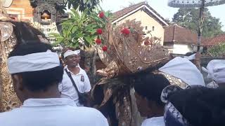 Melancaran  Ngelawang Hari Raya Kuningan [upl. by Anayia]