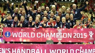 Netherlands VS Norway Handball final Womens World Championship Denmark 2015 [upl. by Hagile]