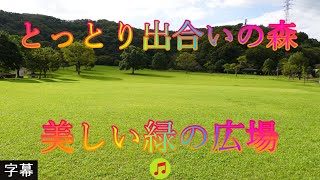 香しい森 9月24日 日曜 晴れ 初秋 とっとり出合いの森 美しい緑の広場 日本 鳥取県鳥取市桂見 とっとり出合いの森 WalkingYoshi [upl. by Larrabee643]