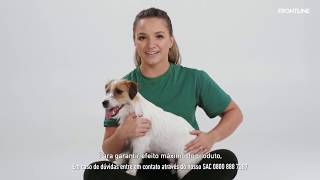 Como aplicar a pipeta de Frontline no seu cão ou gato e protegêlo contra pulgas e carrapatos [upl. by Gula377]