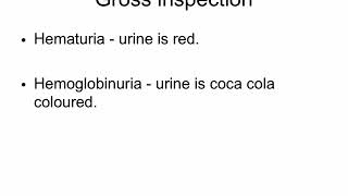 Hematuria vs Hemoglobinuria [upl. by Berlin]