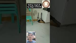 Pusa magaling maghuli ng daga [upl. by Kaazi]