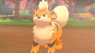 How to Catch GROWLITHE Hammerlocke Hills  Pokemon Sword amp Shield [upl. by Aekin]